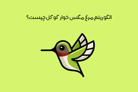 الگوریتم مرغ مگس خوار گوگل چیست: (Hummingbird Algorithm) چیست + تکنیک‌های بهینه‌سازی